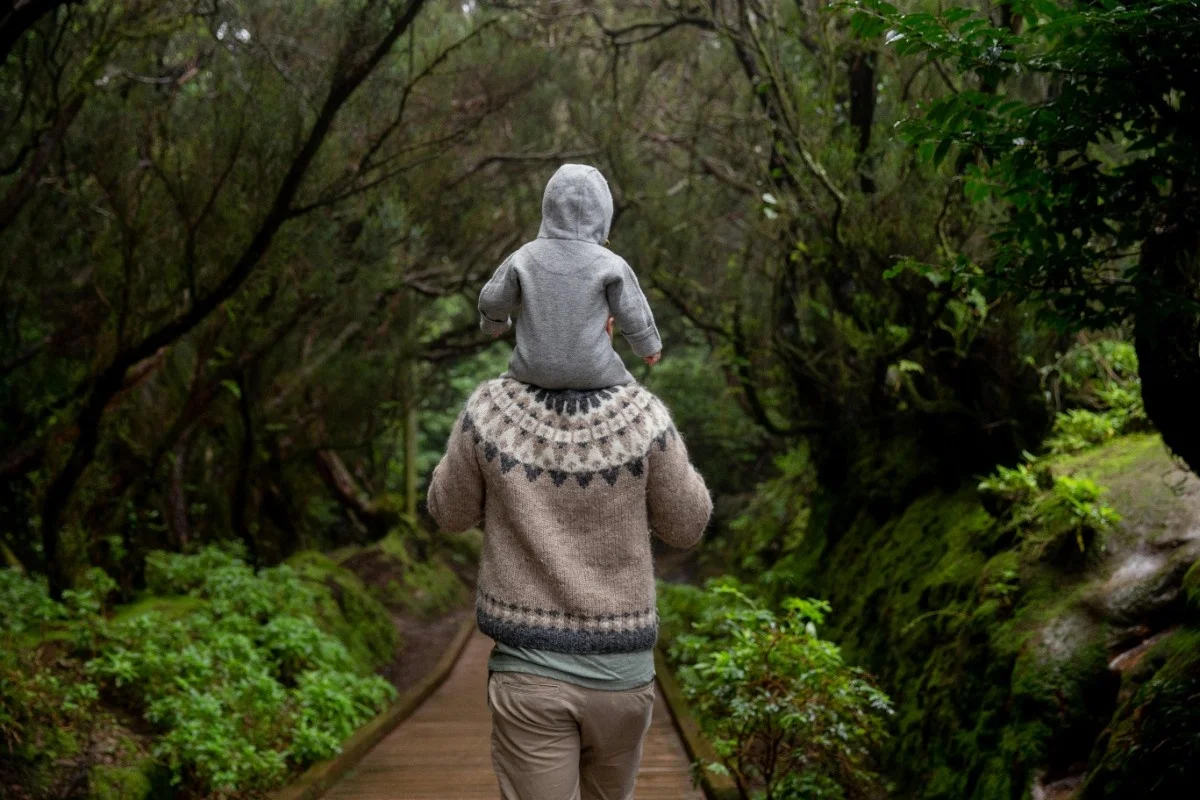 guardianship